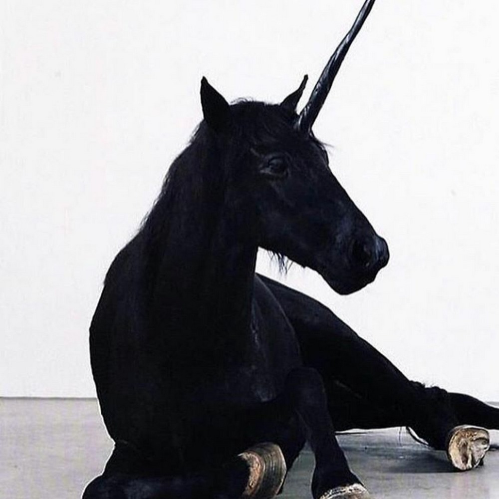 Meet your Posher, Chelsea